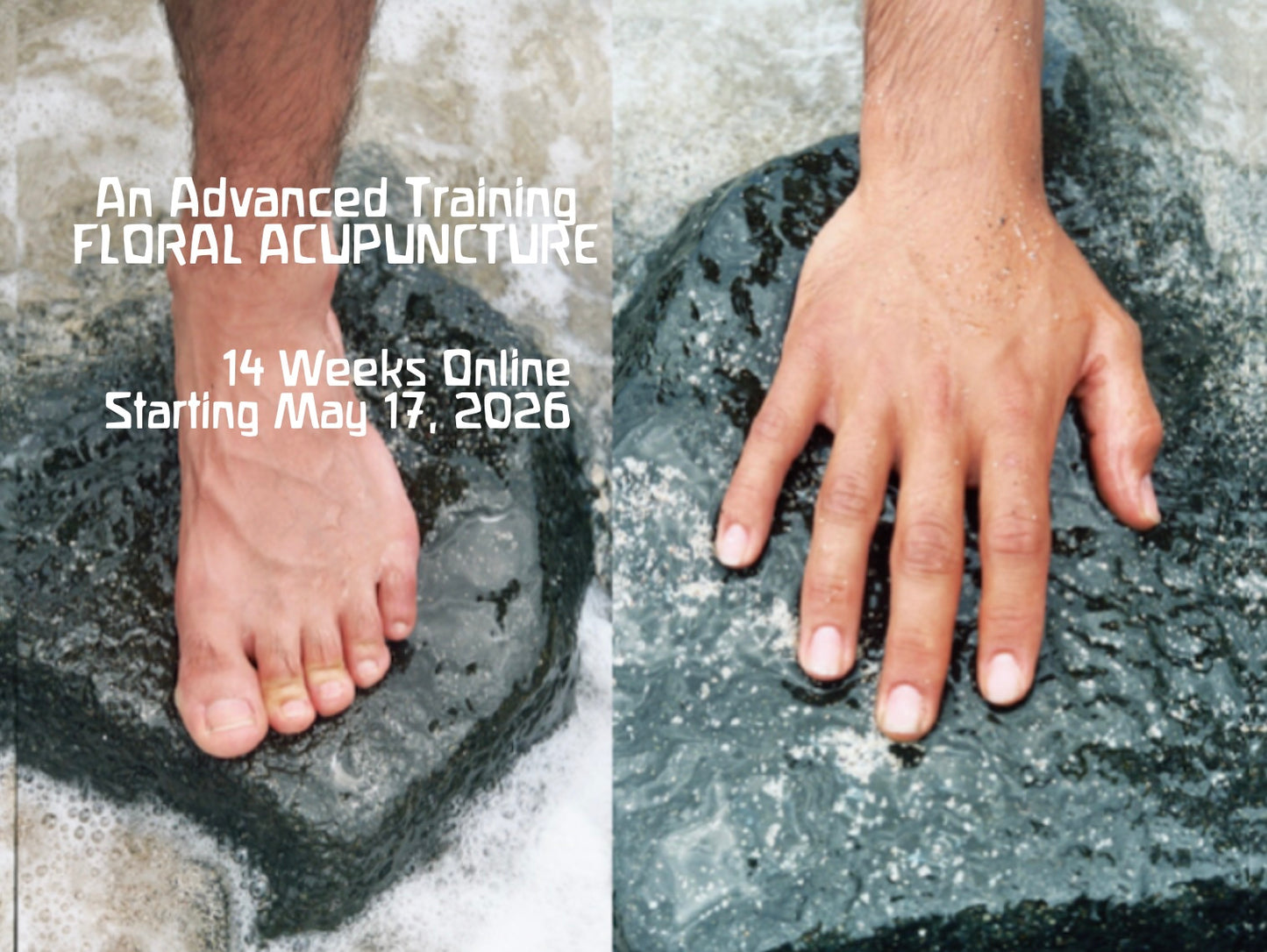 Advanced Floral Acupuncture Training- Spring 2026 - MAY 17- August 29