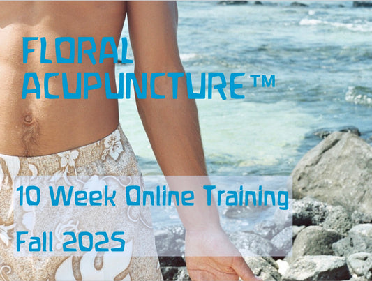 Floral Acupuncture Fall 2025 Training