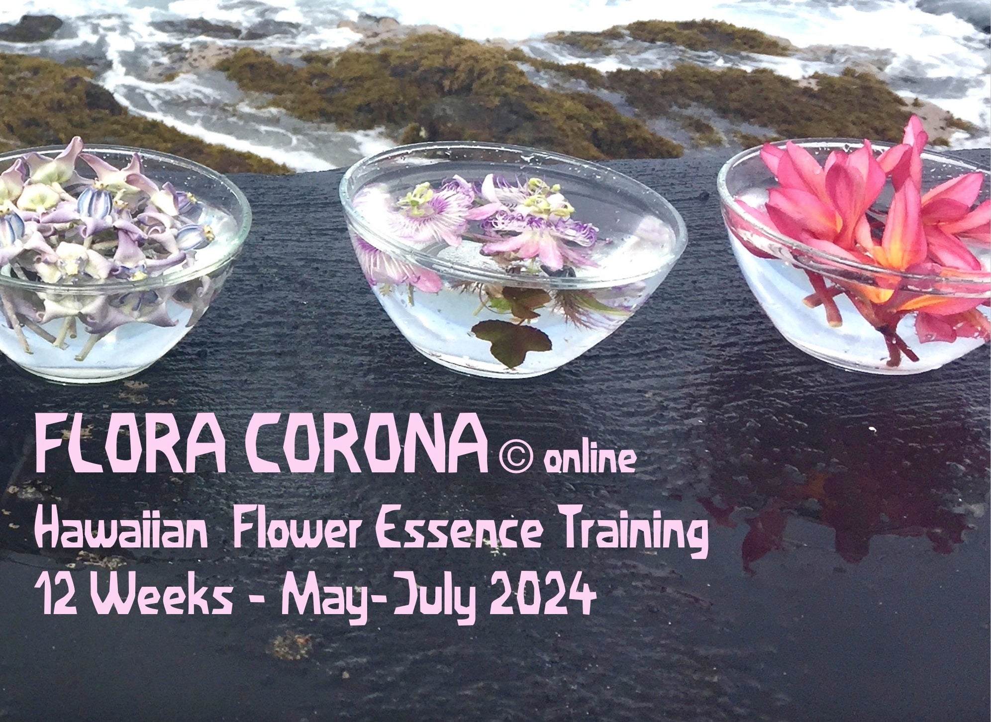 Flora Corona Hawaiian Flower Essence Training 2024