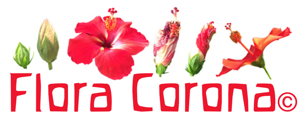 FLORA CORONA