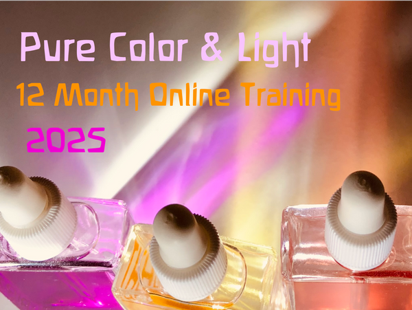 Pure Color & Light 12 Month Online Training