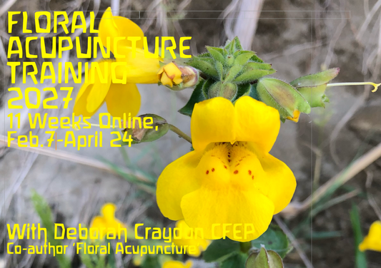 Floral Acupuncture 11 Week Online Training 2027