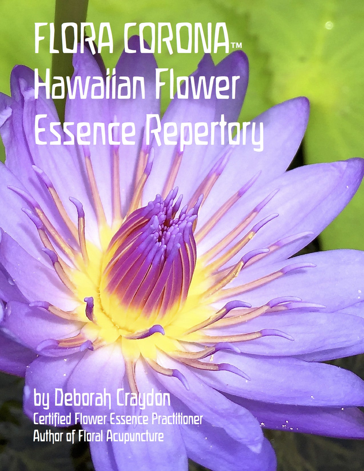 Hawaiian Flower Essence Repertory